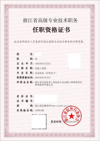 信息技术-高级工程师证书